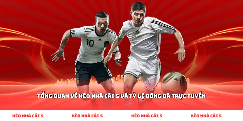 Tổng quan về kèo nhà cái 5 và tỷ lệ bóng đá trực tuyến